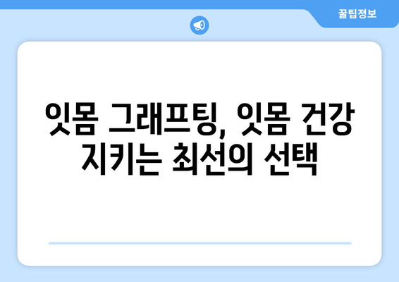 잇몸 감소, 치은 그래프팅으로 되돌리세요! | 잇몸 이식, 잇몸 재생, 치주질환 치료