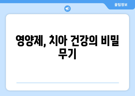 치아와 잇몸 건강을 위한 영양제 가이드 | 치아 건강, 잇몸 관리, 영양 보충, 추천