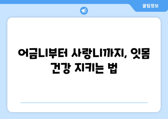 잇몸 통증 예방 완벽 가이드| 어금니, 사랑니, 앞니까지 | 잇몸 건강, 치주 질환 예방, 잇몸 관리 팁