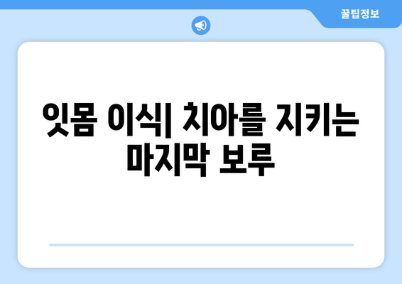 잇몸 손실을 되돌리는 치은 이식의 놀라운 힘| 치료 과정과 효과 | 잇몸 재생, 치주 질환, 치과 치료