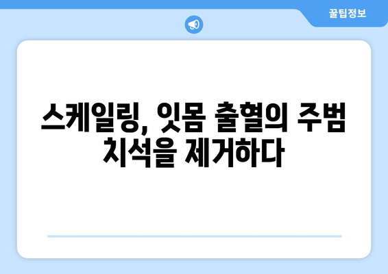 스케일링으로 치은출혈 줄이기| 효과적인 방법과 주의사항 | 치주질환, 잇몸 관리, 구강 건강