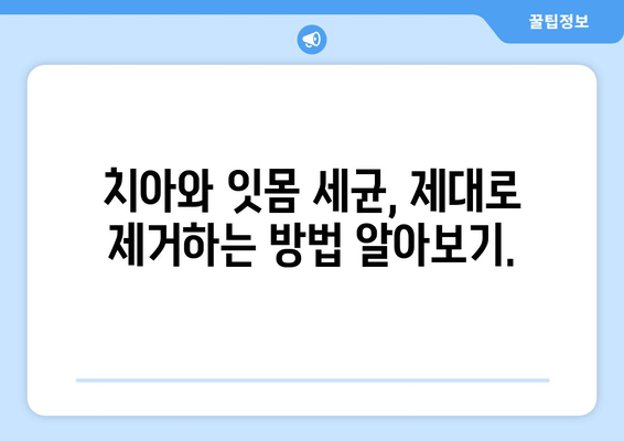 잇몸 건강 지키는 약과 영양소| 치아 & 잇몸 세균 제거 가이드 | 잇몸 질환 예방, 치료, 건강 식단