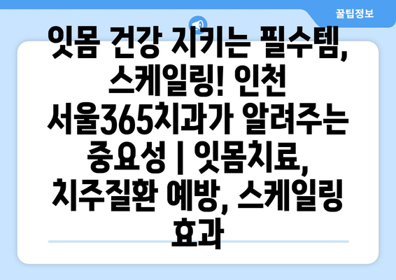 잇몸 건강 지키는 필수템, 스케일링! 인천 서울365치과가 알려주는 중요성 | 잇몸치료, 치주질환 예방, 스케일링 효과