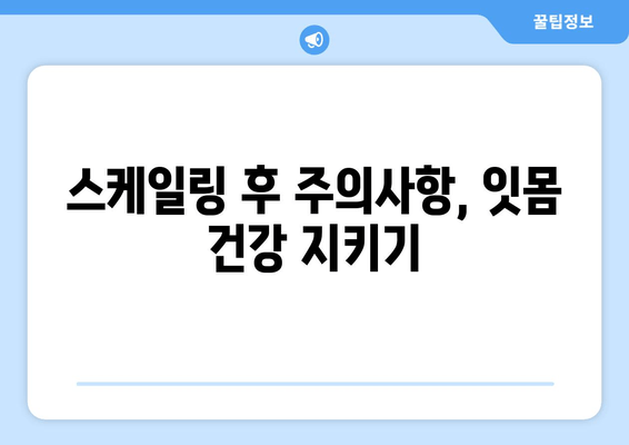 잇몸 건강 회복, 스케일링 치료 단계별 가이드 | 잇몸 질환, 치주염, 치석 제거