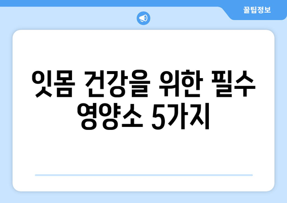 잇몸 내려앉음 해결, 필수 영양제 5가지 | 잇몸 건강, 잇몸 퇴축, 영양 보충, 치주 질환 예방