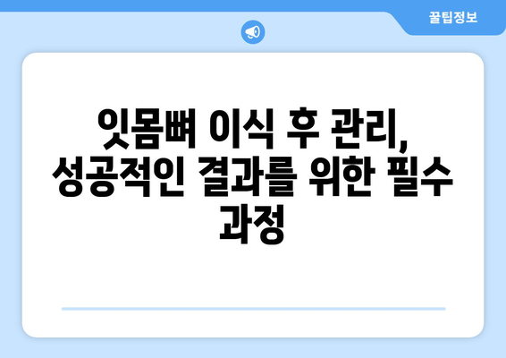 잇몸뼈 이식 수술, 뼈 상태 평가 후 결정해야 할 것들 | 잇몸 이식, 뼈 이식, 임플란트, 치과