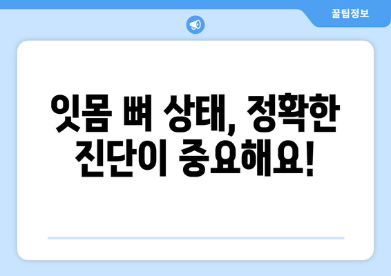 임플란트 뼈 이식 가격| 잇몸 뼈 상태 진단 후 결정 | 비용, 과정, 주의사항