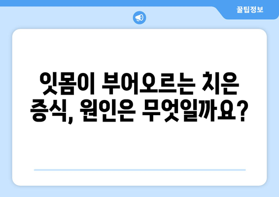 치은 증식, 원인과 치료법 완벽 가이드 | 잇몸 질환, 증상, 예방