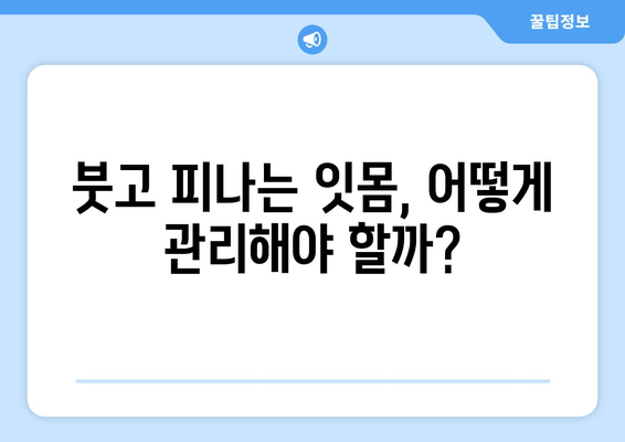 잇몸 부종과 출혈, 이렇게 대처하세요! | 잇몸 질환, 치료, 예방, 관리, 원인