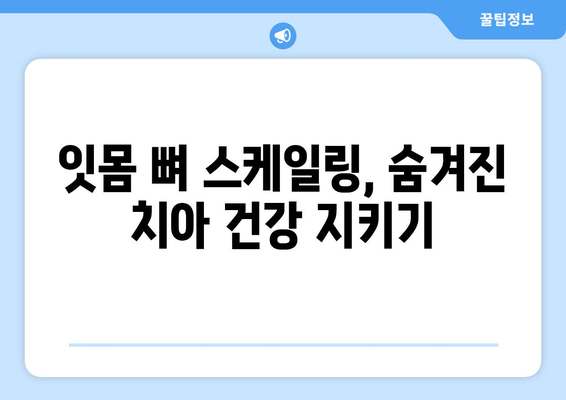 잇몸 뼈 스케일링 치료| 왜 중요할까요? | 잇몸 건강, 치주 질환 예방, 치료 효과