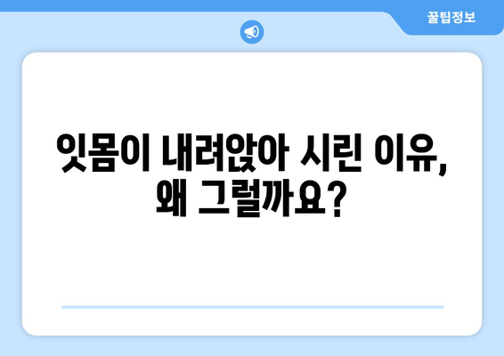 치은 내려앉음, 시림의 원인과 예방법| 이가 시린 당신을 위한 해결책 | 치주 질환, 잇몸 퇴축, 치아 민감성, 예방 관리