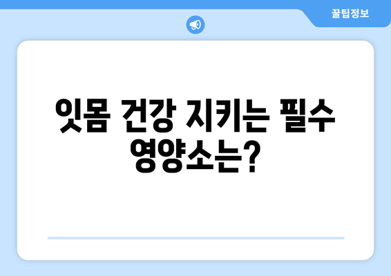 잇몸 염증 증상| 약 대신 영양제로 완화할 수 있을까요? | 잇몸 건강, 영양제 추천, 잇몸 염증 치료