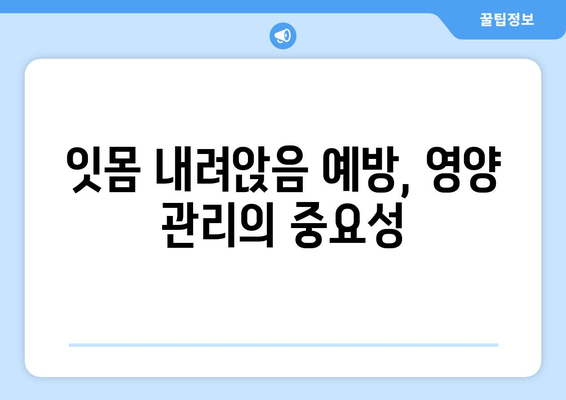 잇몸 내려앉음 예방, 영양제로 시작하세요! | 잇몸 건강, 잇몸 질환, 영양 관리, 건강 정보