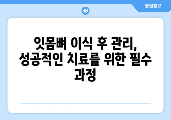 잇몸뼈 손상, 이식으로 건강 되찾는 방법 | 치과, 임플란트, 잇몸뼈 이식