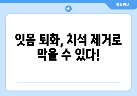 명동 치과 치석 제거로 잇몸 퇴화 막기| 잇몸 건강 지키는 핵심 가이드 | 치석 제거, 잇몸 질환 예방, 명동 치과 추천