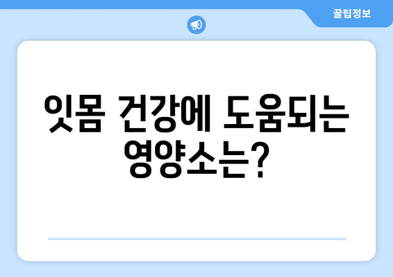 잇몸 출혈, 영양제로 해결할 수 있을까요? | 잇몸 피 나는 원인 해결에 도움이 되는 영양제 리뷰 & 추천