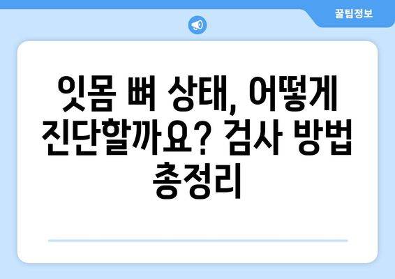 임플란트 성공 위한 필수! 잇몸 뼈 상태 정확히 진단하는 방법 | 임플란트, 잇몸 뼈, 진단, 검사, 성공률