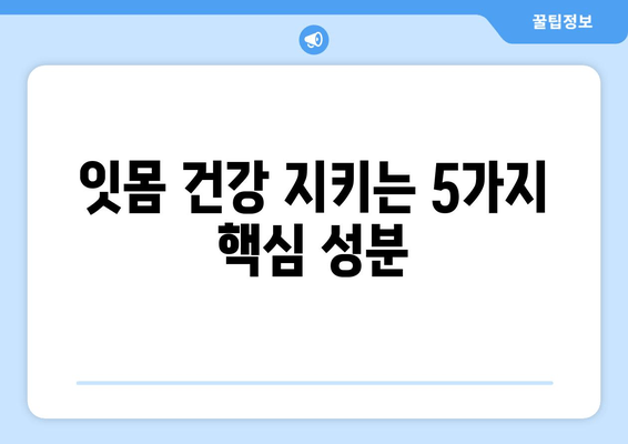 잇몸염증 치아 영양제|  염증 완화에 효과적인 성분 5가지 | 잇몸 건강, 치아 건강, 영양제 추천