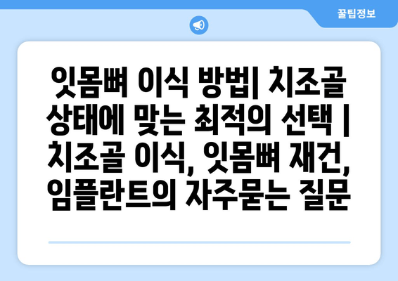 잇몸뼈 이식 방법| 치조골 상태에 맞는 최적의 선택 | 치조골 이식, 잇몸뼈 재건, 임플란트