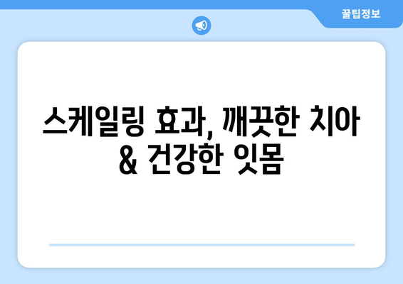 잇몸 건강 지키는 필수템, 스케일링! 인천 서울365치과가 알려주는 중요성 | 잇몸치료, 치주질환 예방, 스케일링 효과