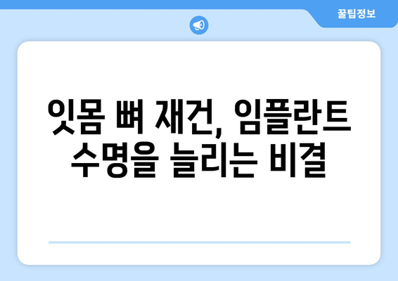 임플란트 뼈 이식, 잇몸 뼈 건강의 필수 조건 | 임플란트 성공, 뼈 이식의 중요성, 잇몸 뼈 재건