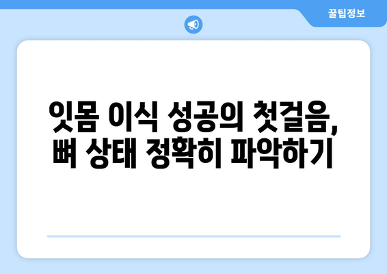 잇몸 이식 수술 성공의 열쇠, 뼈 상태 평가의 중요성 | 잇몸 이식, 뼈 이식, 치주 질환, 치과 수술