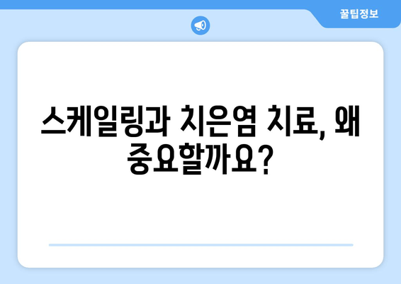 스케일링과 치은염 치료, 꼭 알아야 할 주의 사항 | 치과, 치주 질환, 치료 후 관리