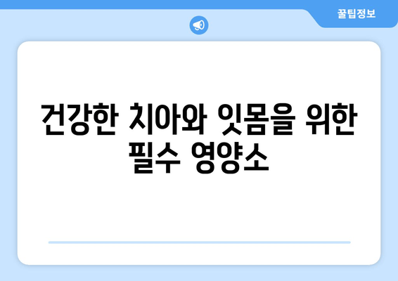 치아와 잇몸 건강을 위한 영양제 가이드 | 치아 건강, 잇몸 관리, 영양 보충, 추천