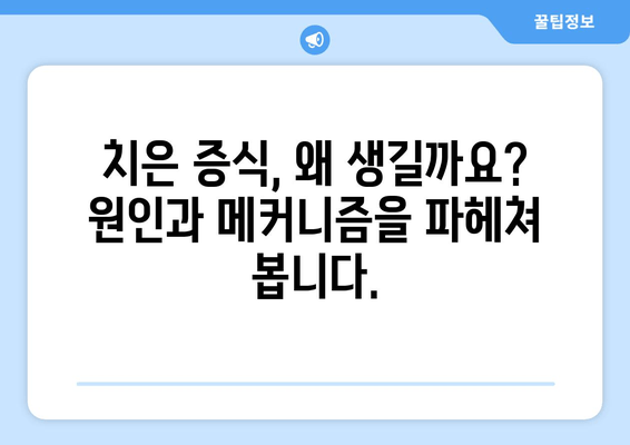 치은 증식의 비밀을 밝히다| 과학적 발견과 연구의 최신 동향 | 치은 증식, 치주 질환, 치과 연구, 치료법