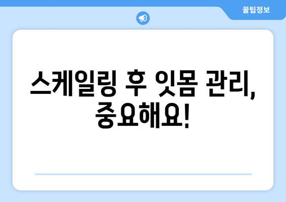 잇몸 피 나는 증상 완화, 스케일링으로 해결 가능할까요? | 잇몸 질환, 치주염, 스케일링 효과