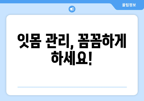 잇몸 건강을 위한 필수 지침| 스케일링 잇몸 치료 단계별 가이드 | 잇몸 질환, 치주염, 치석 제거, 잇몸 관리