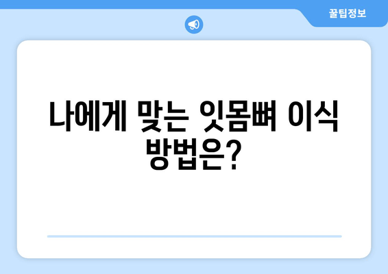 잇몸 뼈 이식 수술| 치조골 상태에 맞는 맞춤형 방법 | 임플란트, 치주 질환, 뼈 이식 수술