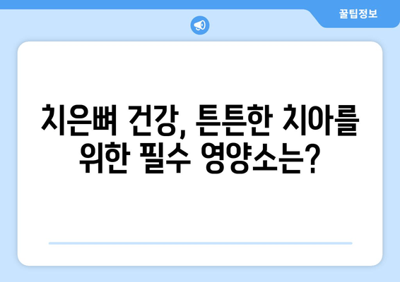 치은뼈 영양제| 건강한 치아를 위한 비타민 가이드 | 치아 건강, 잇몸 건강, 영양제 추천