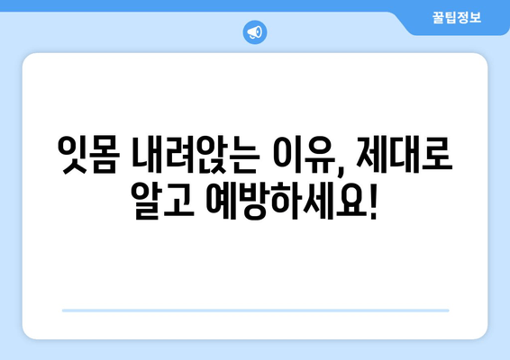 잇몸 내려앉는 것 예방, 나에게 딱 맞는 방법 찾기 | 잇몸 건강, 치주 질환 예방, 잇몸 관리 팁