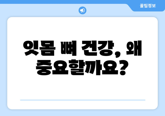 잇몸 뼈 건강 지키는 영양제 선택 가이드 | 잇몸 건강, 뼈 건강, 영양제 추천