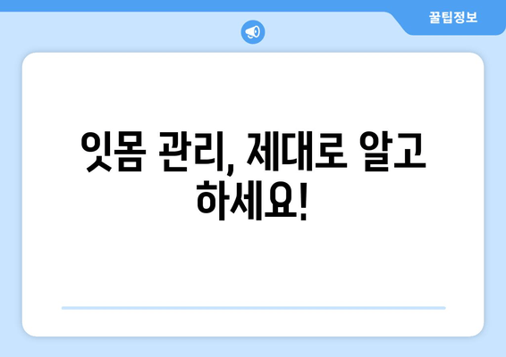 잇몸 건강 지키는 최고의 선택! 치아 건강 증진 영양제 추천 & 잇몸 관리법 | 치아 건강, 잇몸 관리, 영양제, 건강 정보