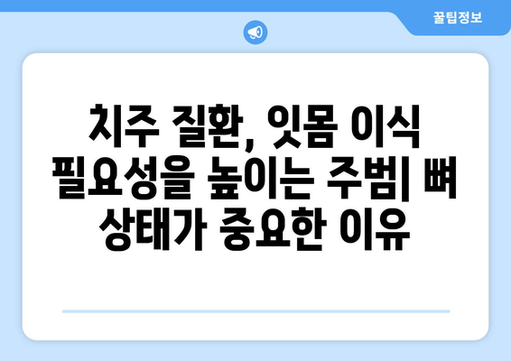 잇몸 이식 수술 전 필수! 뼈 상태 정확하게 평가하기 | 잇몸 이식, 뼈 이식, 치주 질환, 임플란트