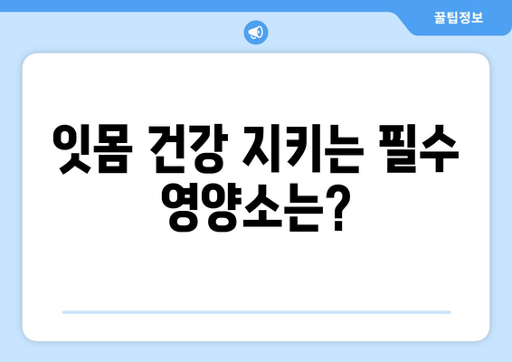 잇몸 내려앉음 예방, 영양제로 시작하세요! | 잇몸 건강, 잇몸 질환, 영양 관리, 건강 정보