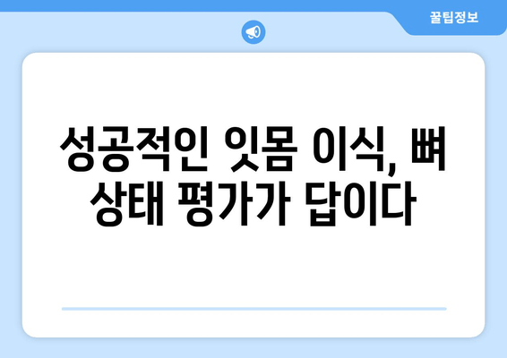 잇몸 이식 수술 성공의 열쇠, 뼈 상태 평가의 중요성 | 잇몸 이식, 뼈 이식, 치주 질환, 치과 수술