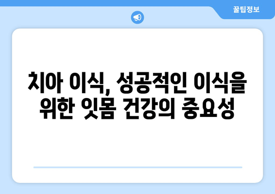 잇몸 건강 회복, 치은 그래프팅의 놀라운 효과| 당신의 미소를 되찾는 비밀 | 치주 질환, 잇몸 퇴축, 치아 이식