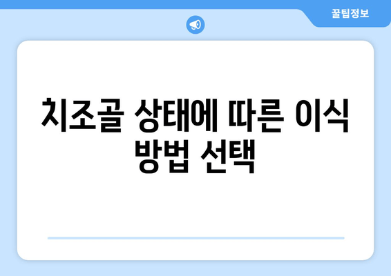 잇몸뼈 이식 방법| 치조골 상태에 맞는 최적의 선택 | 치조골 이식, 잇몸뼈 재건, 임플란트