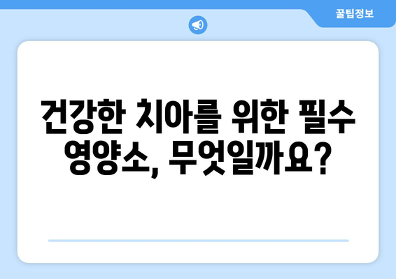 잇몸 내려앉음 예방| 영양제로 건강한 치아 지키기 | 잇몸 건강, 영양제 추천, 치주 질환 예방