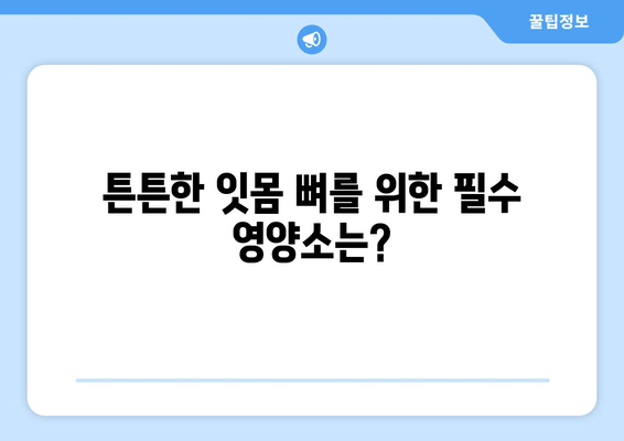 잇몸 뼈 건강 지키는 영양제 가이드 | 치아 건강, 잇몸 뼈 영양제, 뼈 건강, 건강 관리