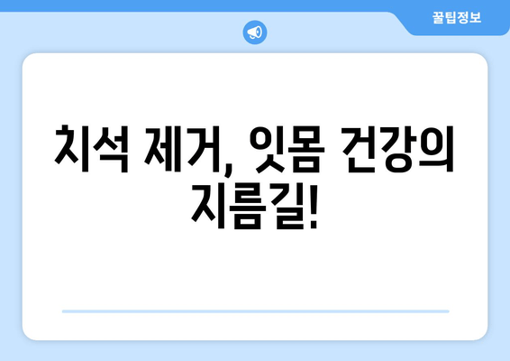 잇몸 건강을 위한 필수 지침| 스케일링 잇몸 치료 단계별 가이드 | 잇몸 질환, 치주염, 치석 제거, 잇몸 관리