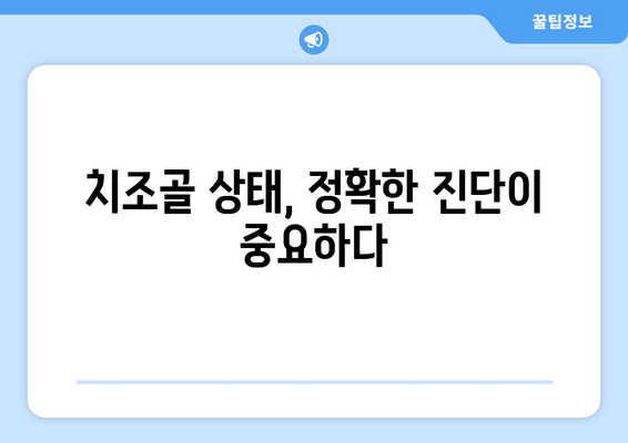 잇몸 뼈 이식 수술, 치조골 상태에 맞는 최적의 방법 찾기 | 임플란트, 치조골 흡수, 뼈 이식 수술, 맞춤형 치료