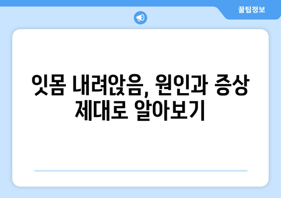 잇몸 내려앉음, 더 이상 고통받지 마세요! | 잇몸 건강 회복 위한 솔루션 및 예방법