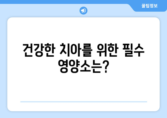 잇몸과 치아 건강을 위한 영양제| 구강염증 완화 가이드 | 잇몸염, 치주염, 구강 건강, 영양 보충제