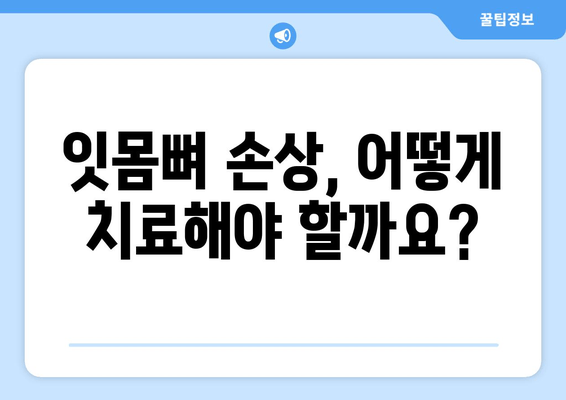 잇몸 뼈 손상 후회는 이제 그만! | 잇몸 뼈 재생, 치료, 예방 가이드