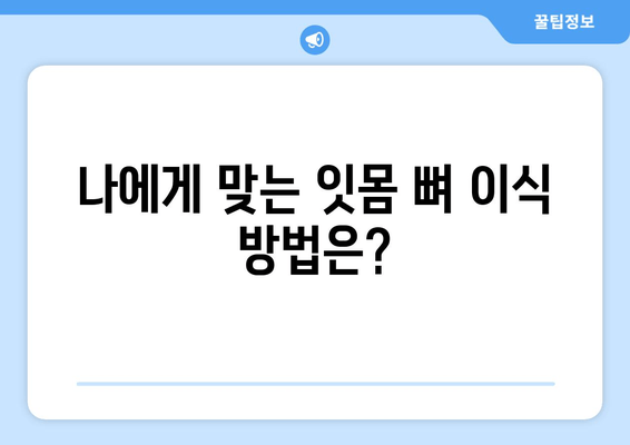 치조골 상태에 맞춘 잇몸 뼈 이식 수술| 방법과 주의사항 | 치조골 이식, 임플란트, 잇몸 뼈 재건