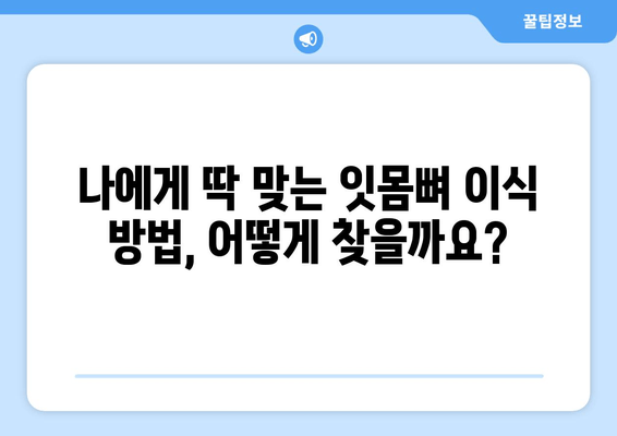 뼈 상태에 맞는 잇몸뼈 이식 수술 가이드| 성공적인 이식을 위한 맞춤 전략 | 잇몸뼈 이식, 임플란트, 치주 질환